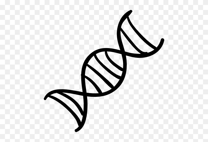 512x512 Dna Double Helix Icons | Free Icons Download Tattoo - Double Helix PNG