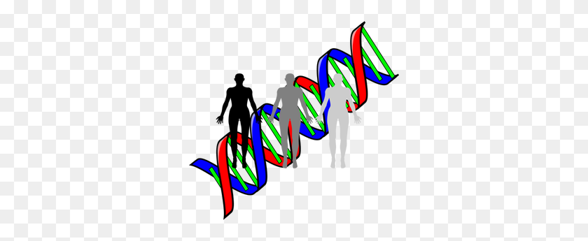 300x285 Dna Free Clipart - Dna Clipart