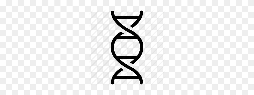 256x256 Dna Helix Png, Clipart - Dna Helix PNG