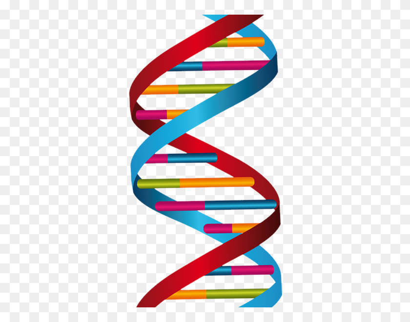 320x600 Dna Helix Png, Clipart - Dna Strand PNG