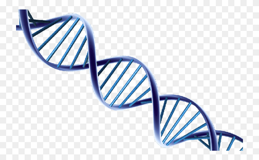 736x458 Dna Helix Png, Clipart - Double Helix PNG