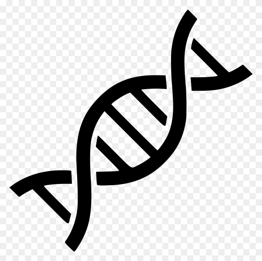 980x978 Dna Helix Png Icon Free Download - Double Helix PNG