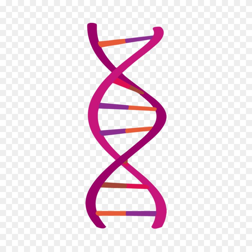 880x880 Dna Png - Dna Strand Clipart