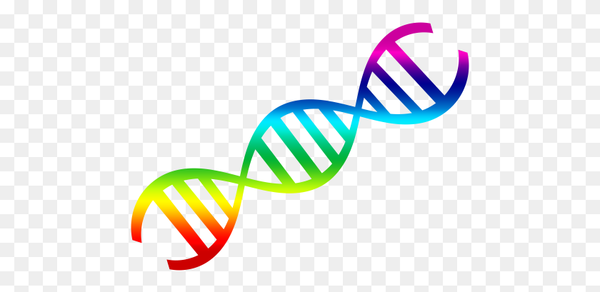 475x349 Dna Png - Double Helix PNG