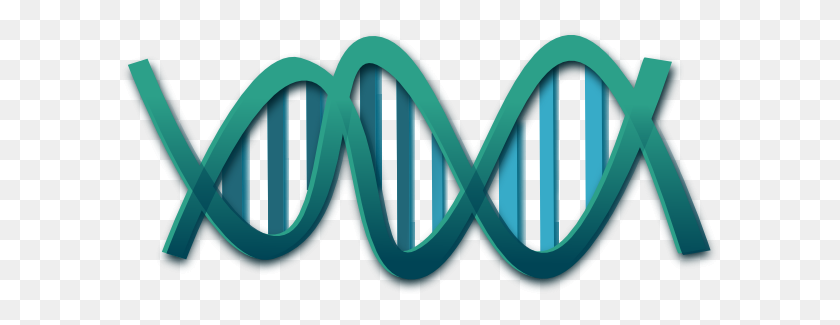 600x265 Dna Png, Clip Art For Web - Dna Clipart Free