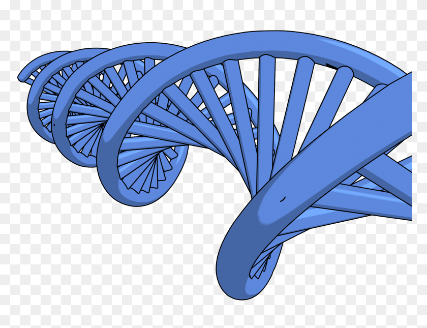 2000x1500 Dna Png Clipart Picture - Dna Clipart