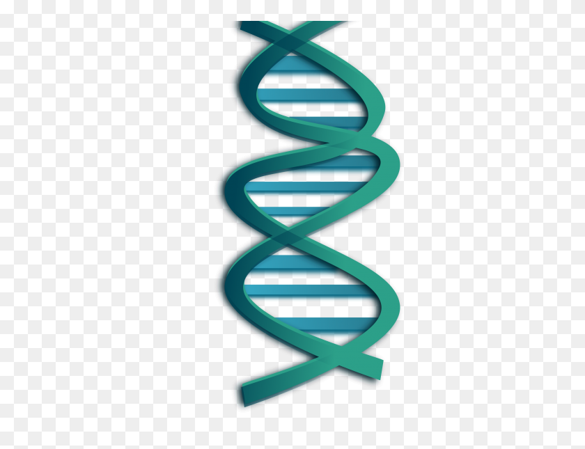 3200x2400 Dna Png Images Free Download - Double Helix PNG