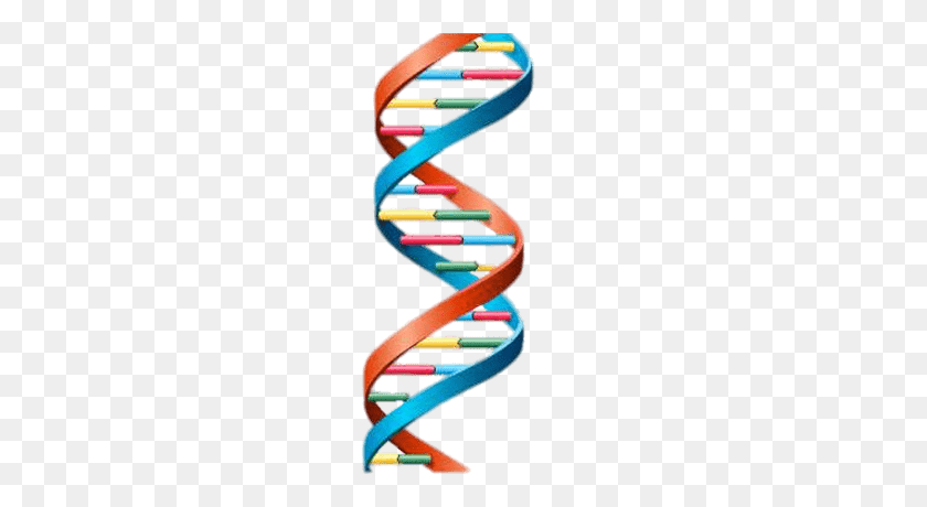 400x400 Dna String Double Helix Transparent Png - Dna Helix PNG