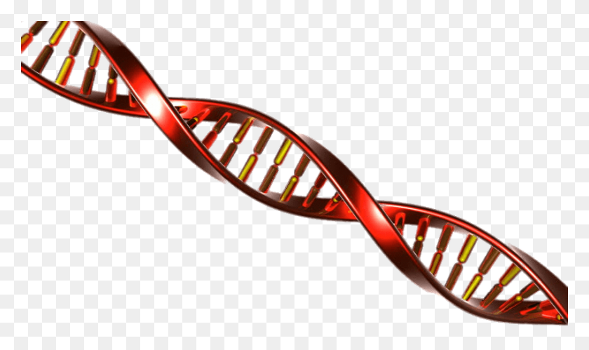 852x480 Dna String Red And Yellow Transparent Png - String PNG