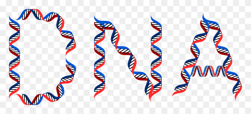 2310x952 Dna Typography Icons Png - Dna Strand PNG
