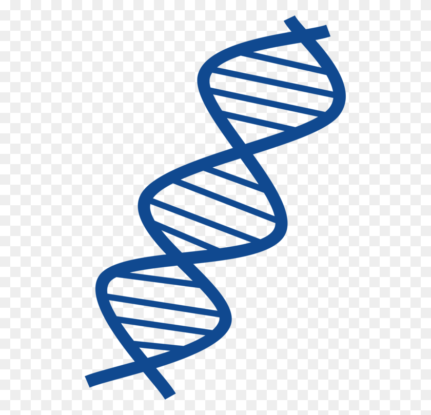 509x749 El Adn Vector De La Estructura Molecular De Los Ácidos Nucleicos Una Estructura - Las Moléculas De Imágenes Prediseñadas