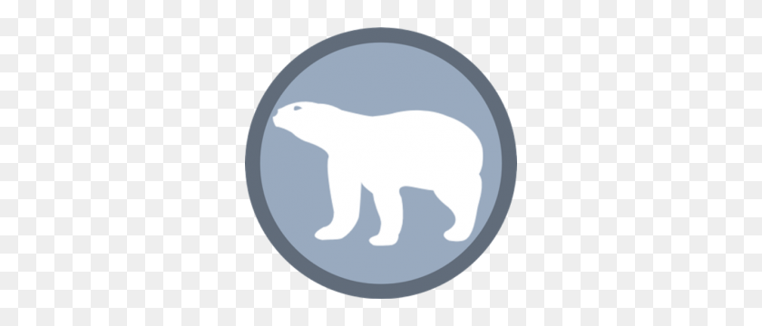 300x300 Do Polar Bears Poop In The Woods - Bear Claw PNG