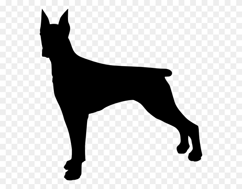 564x597 Doberman Dog Silhouette Clip Art - Doberman Clipart