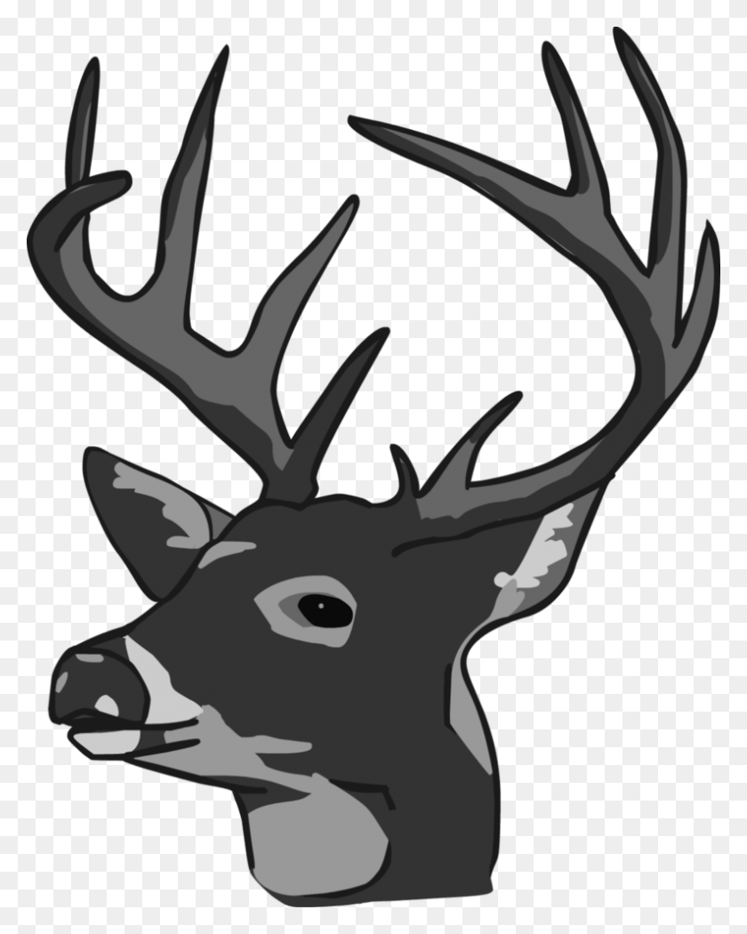 793x1007 Doe Head Cliparts - Deer Head Clipart Black And White