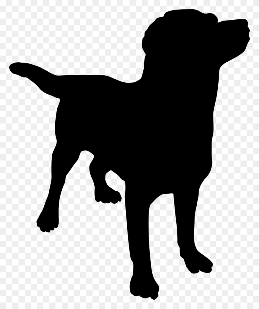 848x1024 Dog And Cat Silhouette Clip Art Free Clipart Outline Winging - Cat Clipart Outline