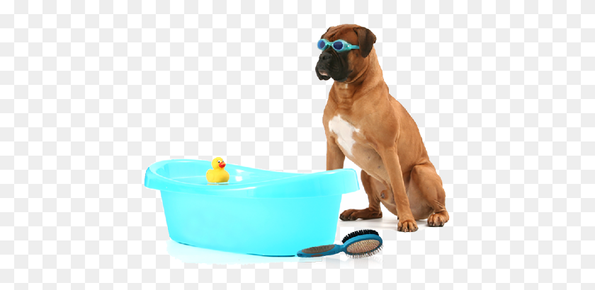 448x350 Dog Bath Png Transparent Dog Bath Images - Bath PNG
