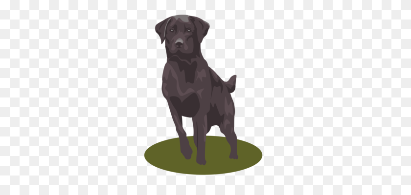 256x340 Dog Breed Puppy Miniature Dachshund Animal - Dachshund PNG
