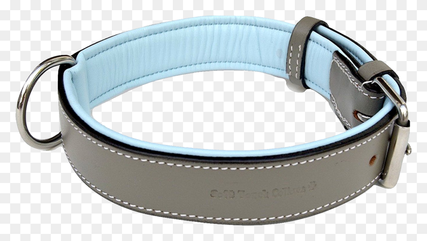 1359x722 Dog Collar Png Images Free Download - Belt Buckle PNG