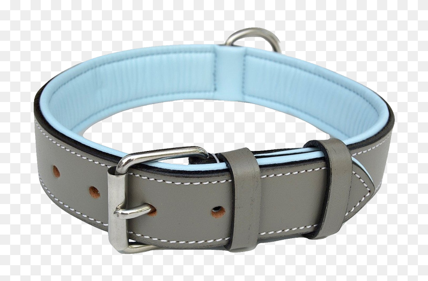 1500x945 Dog Collar Png Images Free Download - Collar PNG