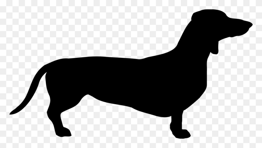 900x480 Dog, Dachshund, Breed, Pet, Coat Cricut Adventures - Weenie Dog Clipart