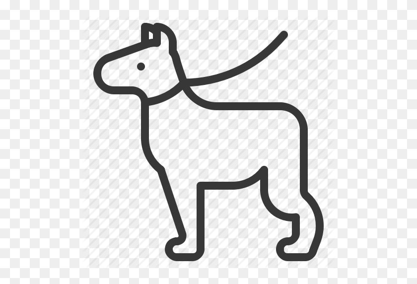 512x512 Dog, Dog Leash, Leash, Pet Icon - Dog Leash Clipart