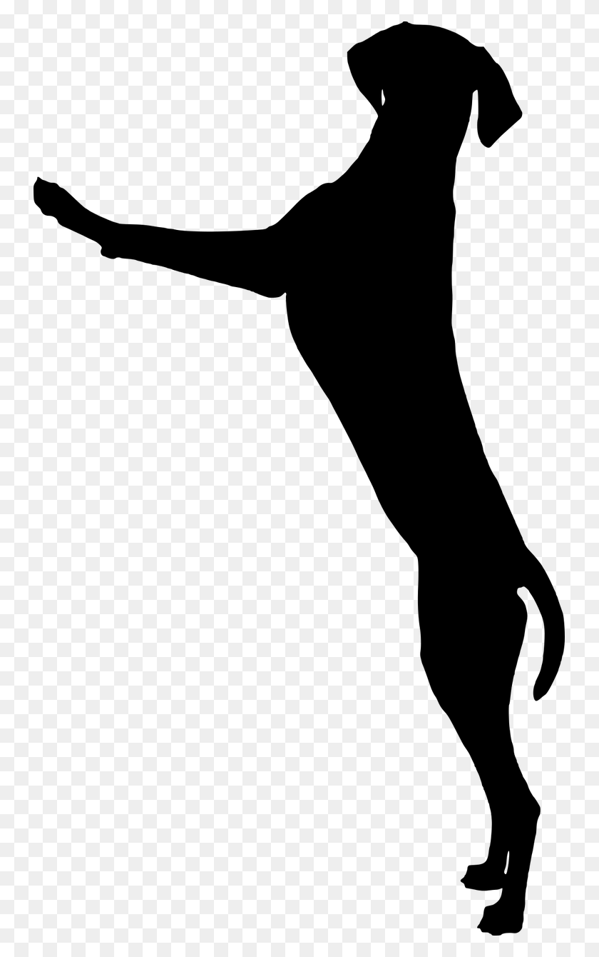 745x1280 Dog, Dog, Standing, Playing, Silhouette - Dog Silhouette PNG