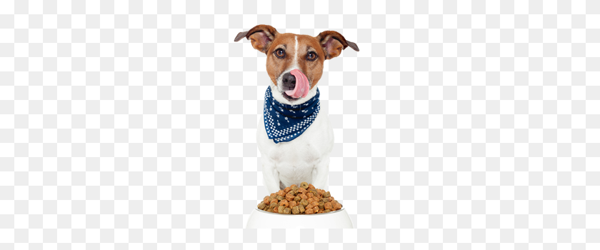 250x290 Dog Food Paringa Pet Foods - Dog Food PNG