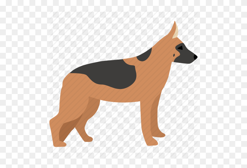 512x512 Dog, German, German Shepherd, Guard, Hound, Shepherd, Training Icon - German Shepherd PNG
