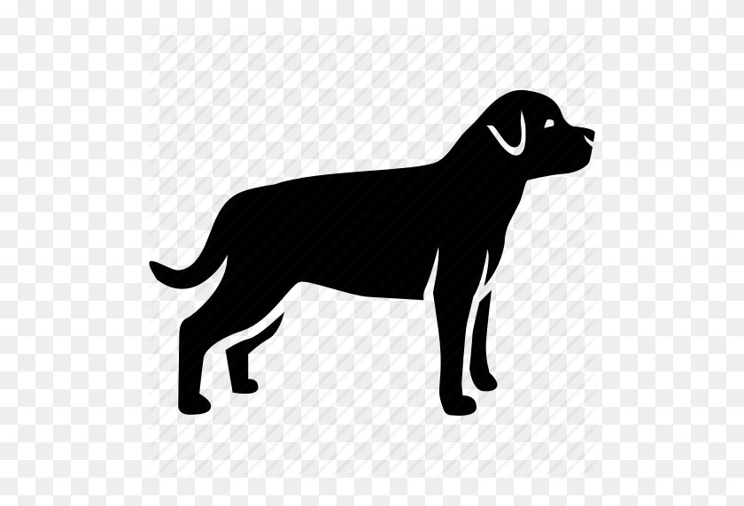 512x512 Dog, German, Guard, Hound, Kennel, Pet, Rottweiler Icon - Rottweiler PNG