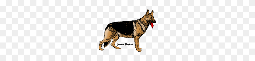 190x141 Dog German Shepherd - German Shepherd PNG