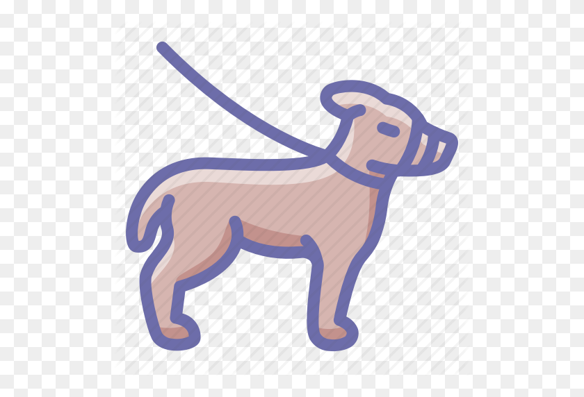 512x512 Dog, Leash, Pet Icon - Dog Leash Clipart