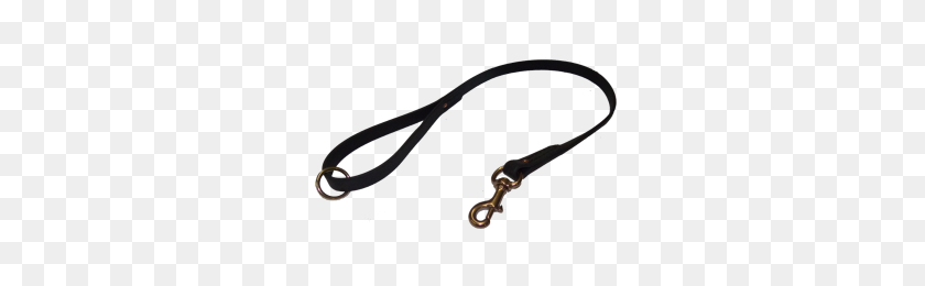 300x200 Dog Leash Png Png Image - Leash PNG