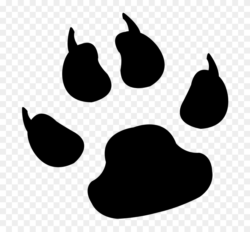 720x720 Dog Paw Tiger Clip Art - Dog Paw Clipart Black And White