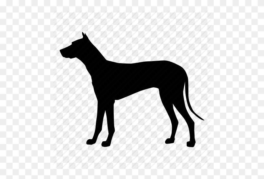 512x512 Perro, Perro, Mascota Icono - Perro Png