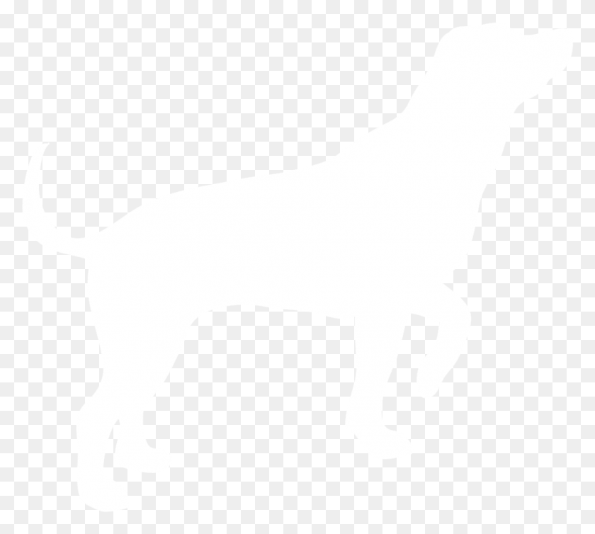 1000x890 Dog Png Image, Dogs, Puppy Pictures Free Download - Pet PNG
