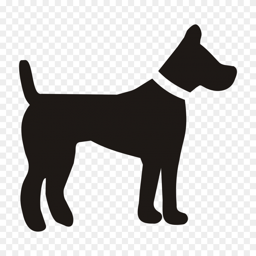 2000x2000 Dog Png Image, Dogs, Puppy Pictures Free Download - Cute Animal PNG