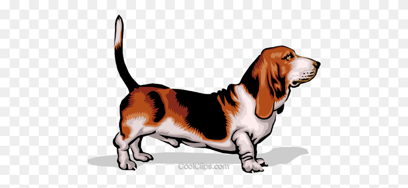 480x327 Dog Royalty Free Vector Clip Art Illustration - Basset Hound Clipart