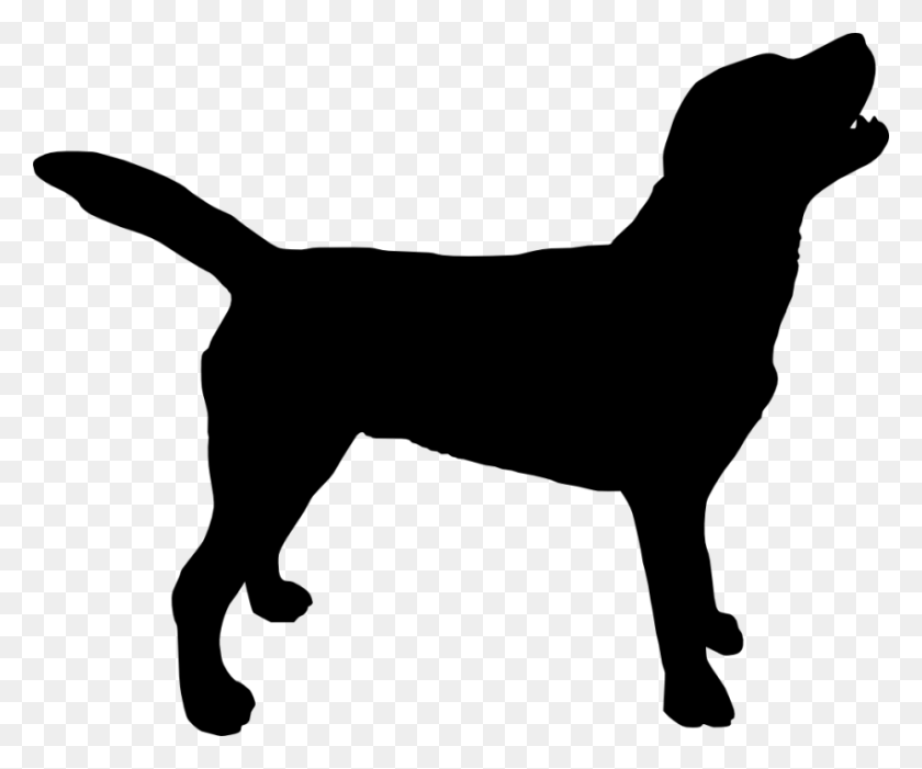 850x699 Dog Silhouette Png - Pet PNG