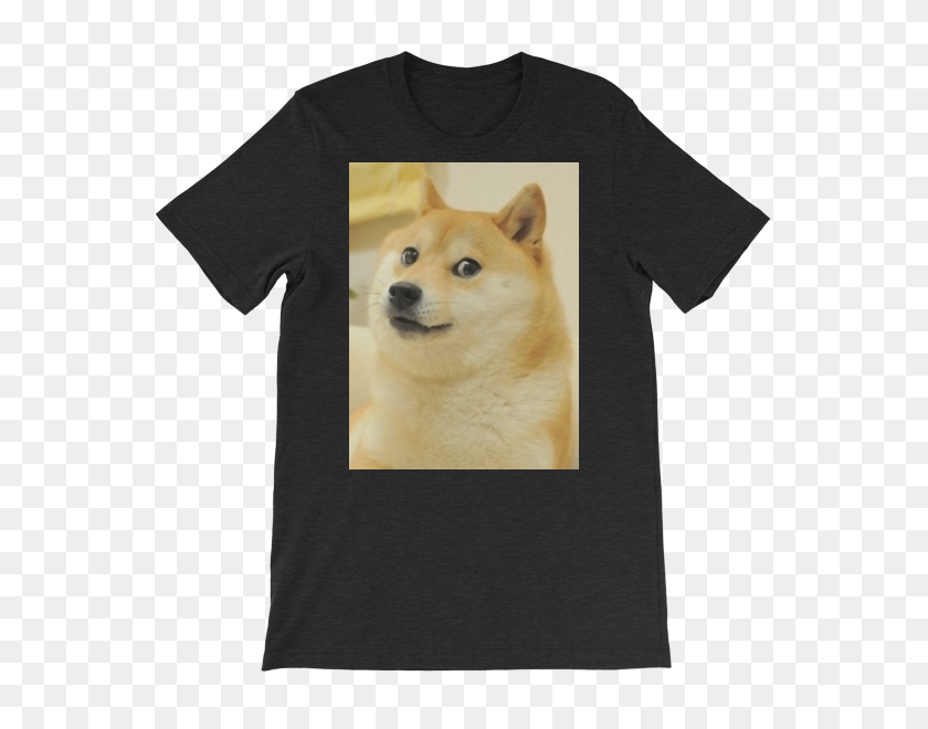 600x600 Doge Cryptoswag Completo - Doge Png