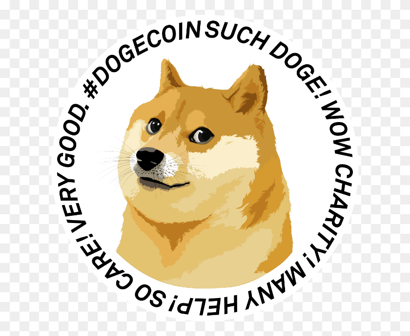 630x630 Doge Much Care Many Love - Doge PNG