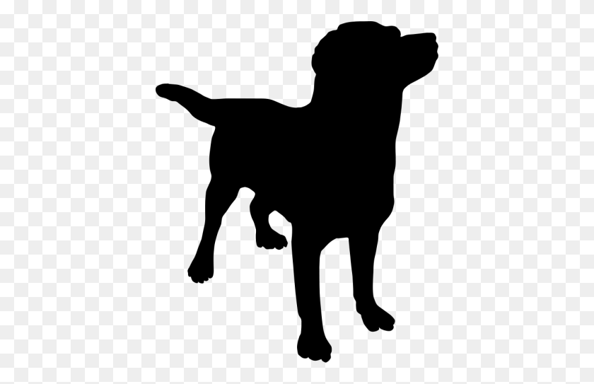 400x483 Dogs Gallery Isolated Stock Photos - Dog Clipart Transparent Background