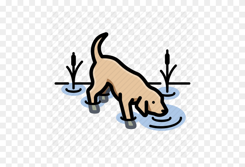 512x512 Perros, Labrador Retriever, Pet Icon - Imágenes Prediseñadas De Labrador Retriever