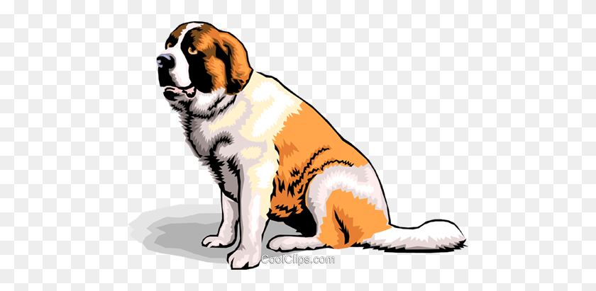 480x351 Dogs Royalty Free Vector Clip Art Illustration - Saint Bernard Clipart