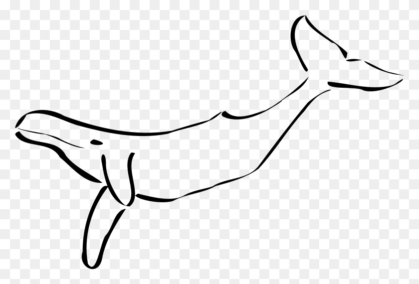 1969x1289 Dolphin Clip Art Black And White - Dolphin Clipart Black And White