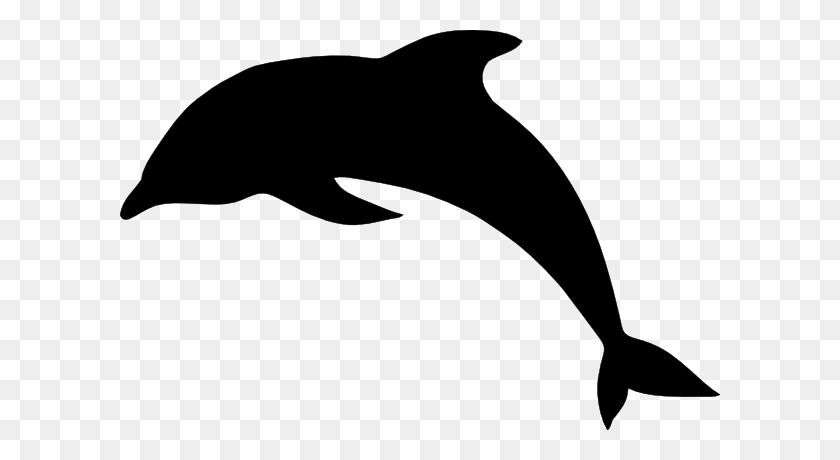 600x400 Dolphin Clip Art Black And White Free Free - Miami Clipart