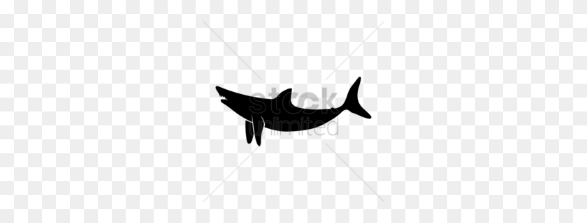 260x260 Dolphin Clipart - Shark Clipart Black And White