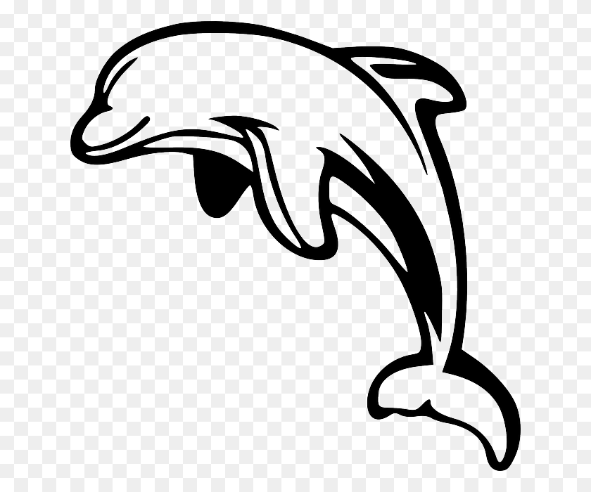 640x640 Дельфин Клипарт Черно-Белый Дельфин Прыгает Белый Бесплатный Вектор - Школьный Клипарт Черный Белый