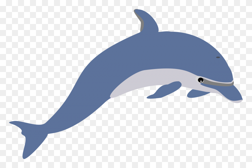2400x1541 Дельфин Клипарт Дельфин Картинки - Плавник