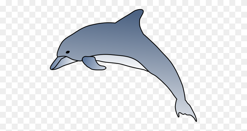 501x385 Dolphin Clipart Dolphin Outline Grey Clipart At Clker Vector Clip - Dolphin Clipart Blanco Y Negro