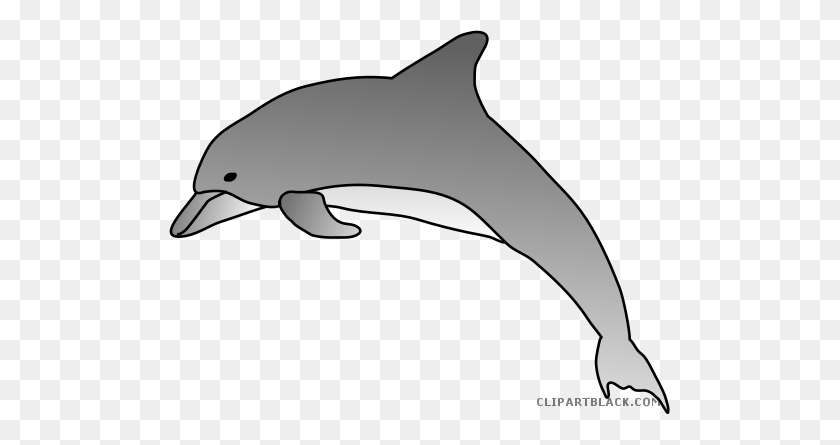 501x385 Дельфин Скачать Клипарт Дельфин - Бесплатный Клипарт Дельфин